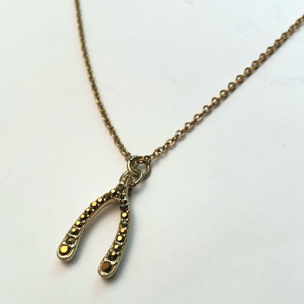 Wishbone Necklace in Gold